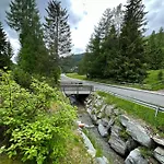 Rosennock Sankt Oswald (Carinthia)