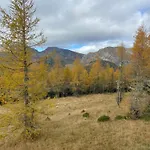 Rosennock Apartamento Sankt Oswald (Carinthia)