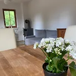 Rosennock 아파트 장크트 오스발트