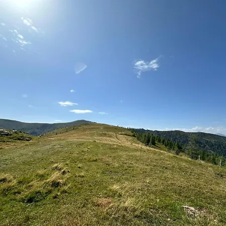Rosennock