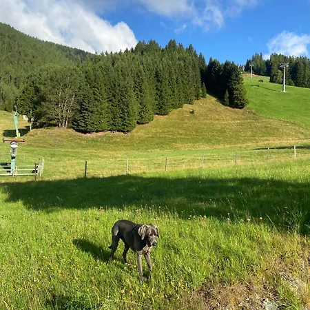 Rosennock Lägenhet *