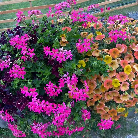 Rosennock Apartment *