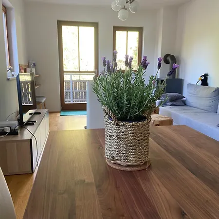 Apartamento Rosennock *