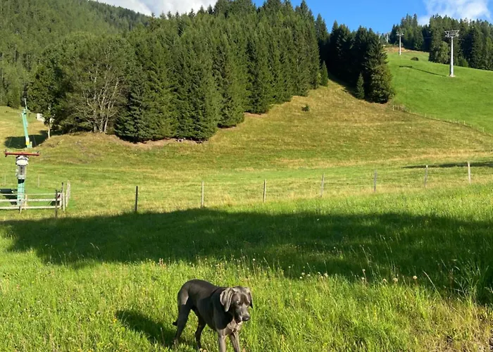 Rosennock Lägenhet *